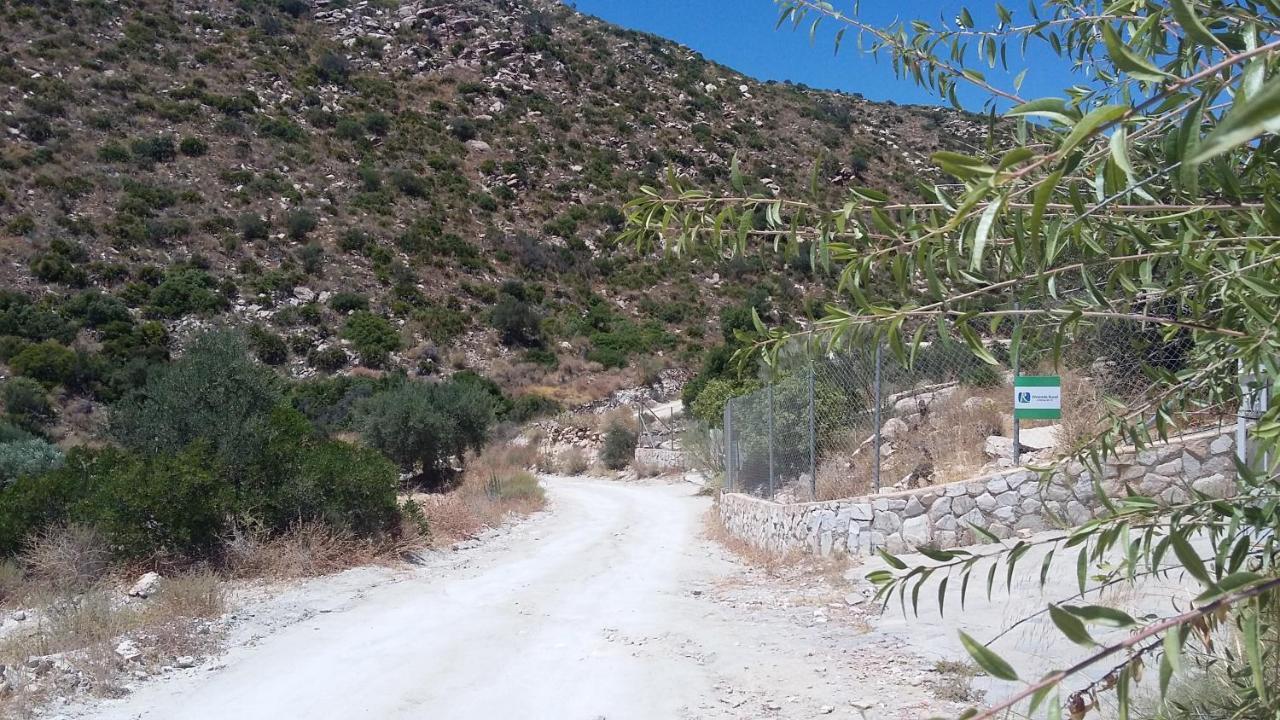 Bed & Breakfast Alegria Y Luna Bed & Breakfast Sorbas Luaran gambar